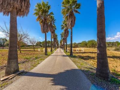 Acheter Maison 509 m2 Algaida