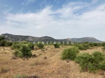 Vente Terrain Llucmajor  PM en Espagne