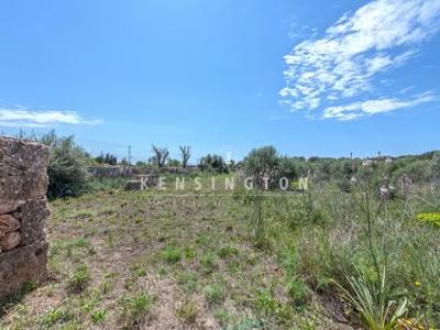 Vente Terrain Llucmajor  PM en Espagne