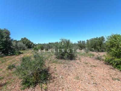 Acheter Terrain Llucmajor rgion ISLAS-BALEARES