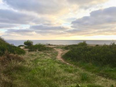 Annonce Vente Terrain Vallgornera