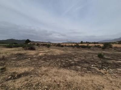 Annonce Vente Terrain Hondon-de-las-nieves