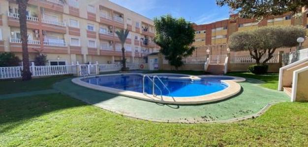 Acheter Appartement Torrevieja rgion ALICANTE