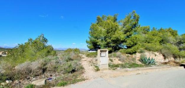 Acheter Terrain 514 m2 San-miguel-de-salinas