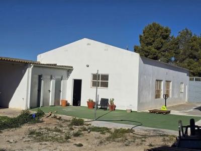 Acheter Local commercial Sax rgion ALICANTE