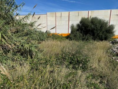 Acheter Terrain Pego