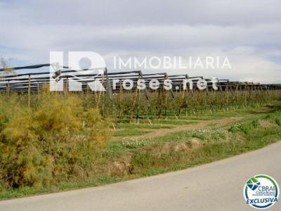 Acheter Terrain 5000 m2 Sant-pere-pescador