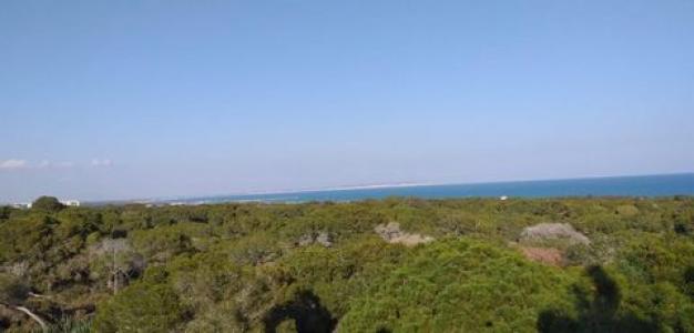 Acheter Appartement Guardamar-del-segura r�gion ALICANTE