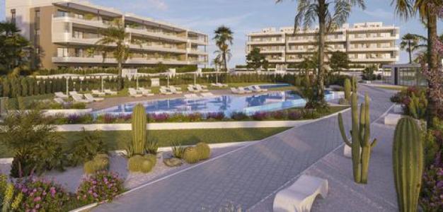 Acheter Appartement Torrevieja r�gion ALICANTE