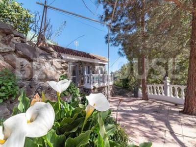 Annonce Vente Maison Santa-brigida