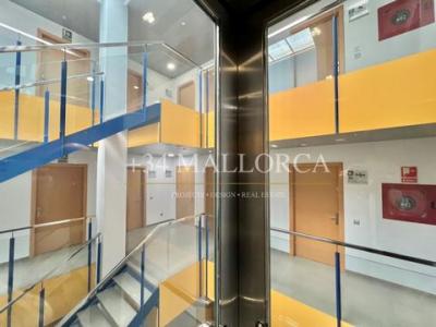 Louer Local commercial Palma-de-mallorca r�gion ISLAS-BALEARES