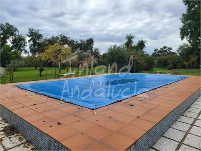 Acheter Maison 182 m2 Marchena