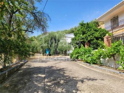 Acheter Maison 464 m2 Iznajar