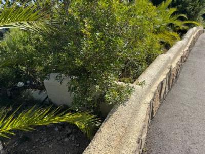 Acheter Terrain 1164 m2 Benitachell