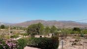 Acheter Appartement Hondon-de-los-frailes