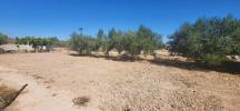 Acheter Maison Aspe rgion ALICANTE