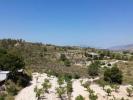 Acheter Maison Hondon-de-los-frailes rgion ALICANTE