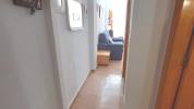 Acheter Appartement Torrevieja rgion ALICANTE