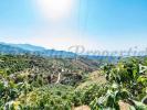 Annonce Vente Terrain Torrox