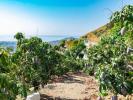 Acheter Terrain Torrox