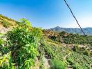 Acheter Terrain Torrox rgion MALAGA
