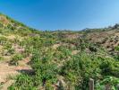 Annonce Vente Terrain Torrox