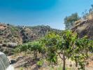 Acheter Terrain Torrox rgion MALAGA