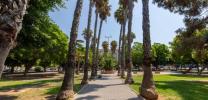 Annonce Vente Appartement Torrevieja