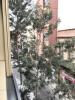 Louer Appartement Las-palmas-de-gran-canaria rgion LAS-PALMAS
