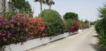 Vente Maison Dolores 03150