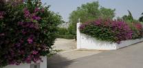 Acheter Maison 125 m2 Dolores