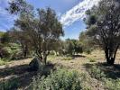 Acheter Terrain 3455 m2 San-roque