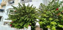 Annonce Vente Appartement San-miguel-de-salinas