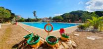 Acheter Local commercial 276 m2 Guardamar-del-segura