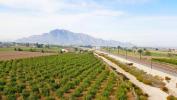 Annonce Vente Maison Callosa-de-segura