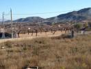 Acheter Maison Hondon-de-los-frailes rgion ALICANTE