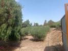Acheter Maison 175 m2 Cehegin