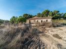 Acheter Terrain 395 m2 Pilar-de-la-horadada