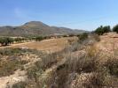 Annonce Vente Terrain Barbarroja