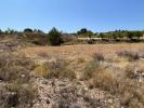 Acheter Terrain 16305 m2 Barbarroja
