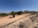 Vente Terrain Barbarroja 03689