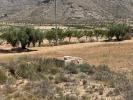 Acheter Terrain 15960 m2 Barbarroja