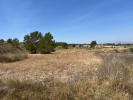 Acheter Terrain Barbarroja rgion ALICANTE