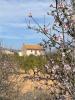 Acheter Maison 273 m2 Raspay