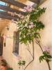 Acheter Maison Raspay rgion ALICANTE