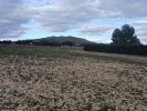 Annonce Vente Terrain Yecla