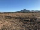Annonce Vente Terrain Salinas