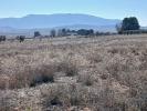 Annonce Vente Terrain Yecla