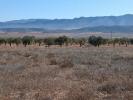 Acheter Terrain Yecla rgion MURCIA