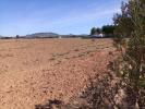 Annonce Vente Terrain Yecla